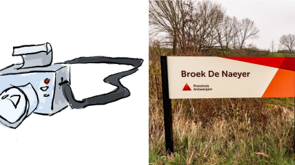 Wandelen 'aan de grens voor de otter': Broek De Naeyer, Willebroek