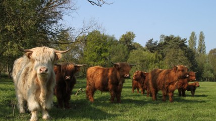 Reetse ondernemers: bezoek Sheela Farm