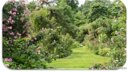 Geleide wandeling in het Arboretum van Kalmthout